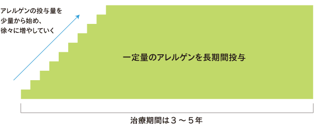 アレルギー治療期間表